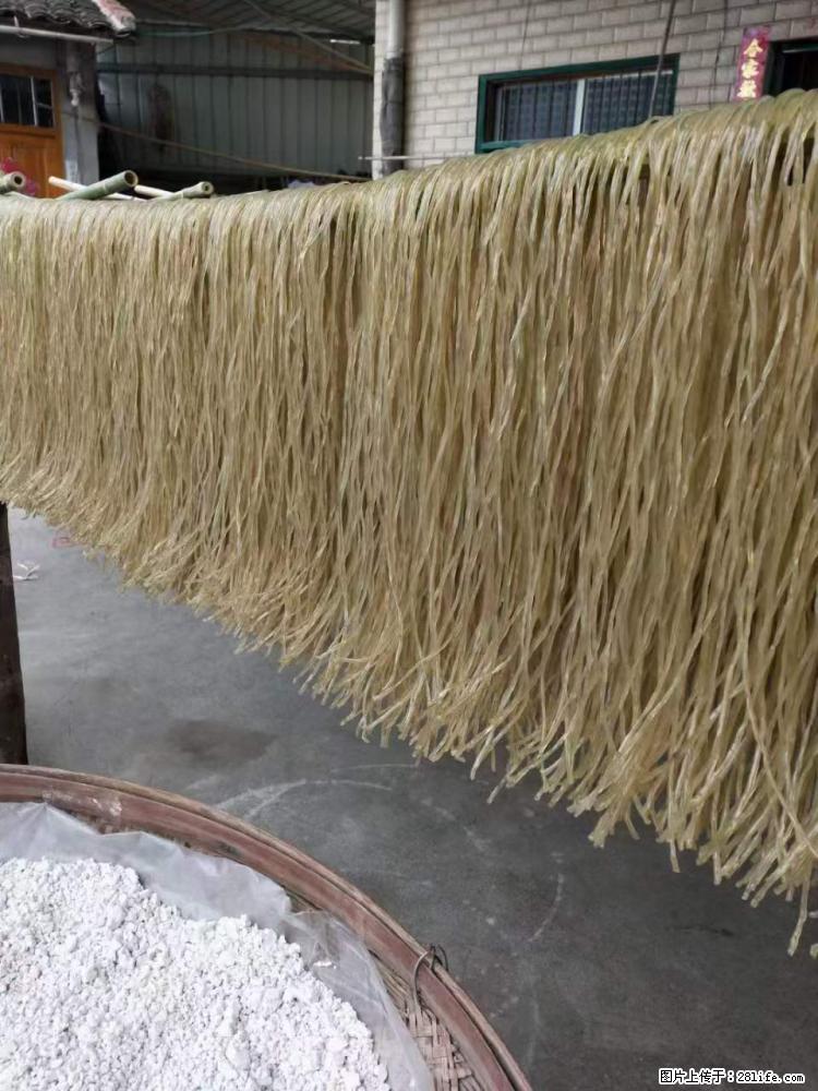 【灌阳正宗红薯粉】美女家里自己做的，干净卫生，假一赔十，价格合理，抢购电话：13737312895 - 美食天地 - 阜阳生活社区 - 阜阳28生活网 fy.28life.net