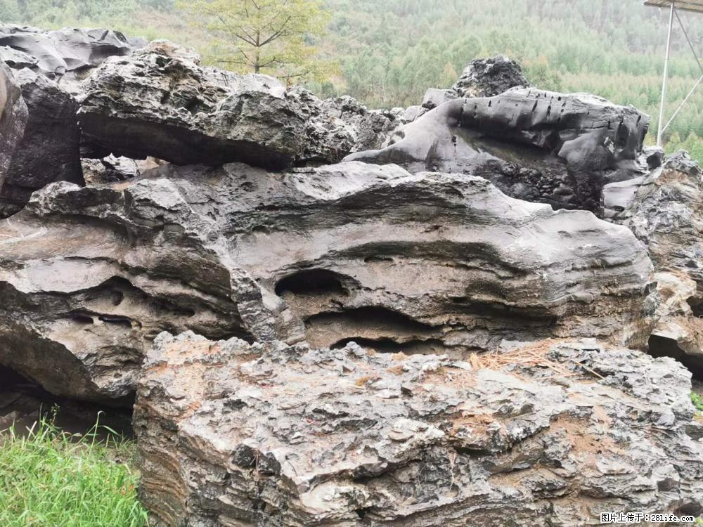 风景石、假山石大量有货，有需要的欢迎联系 - 新手上路 - 阜阳生活社区 - 阜阳28生活网 fy.28life.net