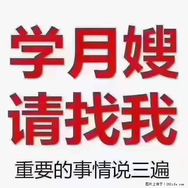 为什么要学习月嫂，育婴师？ - 其他广告 - 广告专区 - 阜阳分类信息 - 阜阳28生活网 fy.28life.net