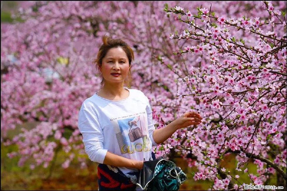 【春天，广西桂林灌阳县向您发出邀请！】官庄村有个醉美的桃花园 - 游山玩水 - 阜阳生活社区 - 阜阳28生活网 fy.28life.net
