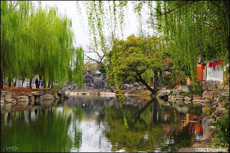【春天，广西桂林灌阳县向您发出邀请！】江口老街又逢春 - 游山玩水 - 阜阳生活社区 - 阜阳28生活网 fy.28life.net