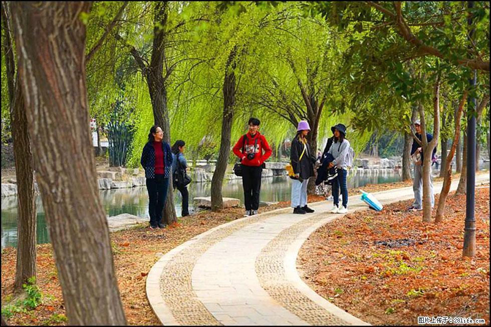 【春天，广西桂林灌阳县向您发出邀请！】江口老街又逢春 - 游山玩水 - 阜阳生活社区 - 阜阳28生活网 fy.28life.net