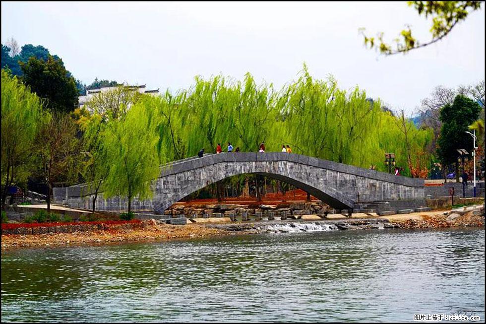 【春天，广西桂林灌阳县向您发出邀请！】江口老街又逢春 - 游山玩水 - 阜阳生活社区 - 阜阳28生活网 fy.28life.net