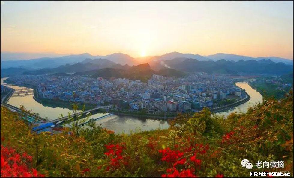 【春天，广西桂林灌阳县向您发出邀请！】登麒麟山，相约映山红 - 游山玩水 - 阜阳生活社区 - 阜阳28生活网 fy.28life.net