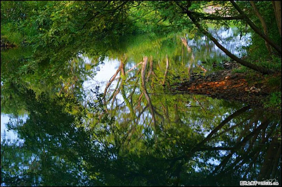 【春天，广西桂林灌阳县向您发出邀请！】熊家寨湿地公园 - 游山玩水 - 阜阳生活社区 - 阜阳28生活网 fy.28life.net