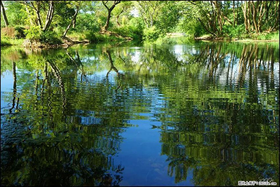 【春天，广西桂林灌阳县向您发出邀请！】熊家寨湿地公园 - 游山玩水 - 阜阳生活社区 - 阜阳28生活网 fy.28life.net