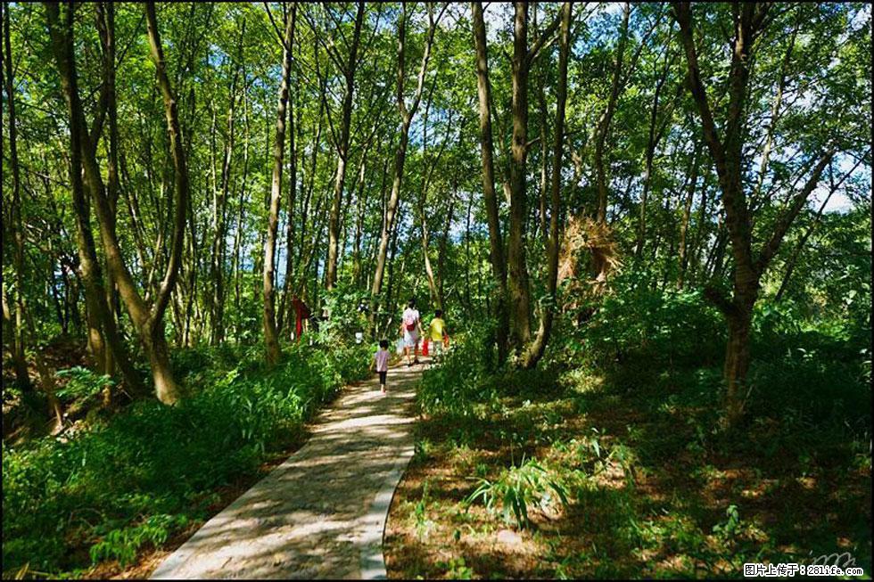 【春天，广西桂林灌阳县向您发出邀请！】熊家寨湿地公园 - 游山玩水 - 阜阳生活社区 - 阜阳28生活网 fy.28life.net