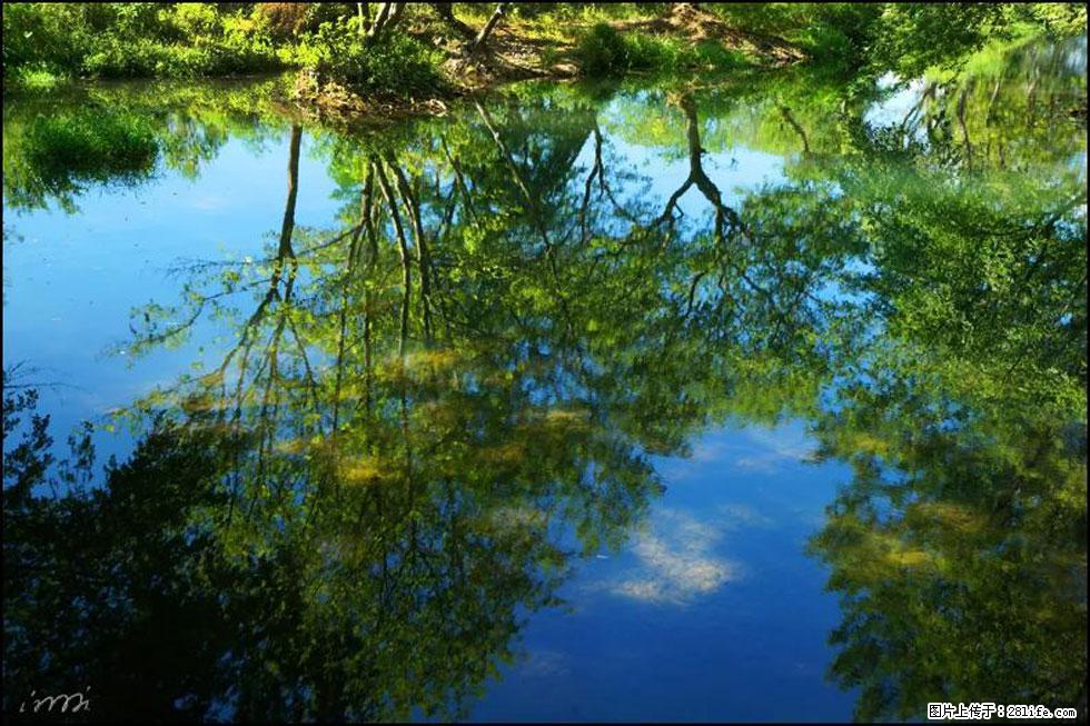 【春天，广西桂林灌阳县向您发出邀请！】熊家寨湿地公园 - 游山玩水 - 阜阳生活社区 - 阜阳28生活网 fy.28life.net