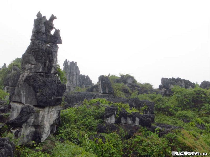 桂林旅游名城景点：灌阳文市石林 - 游山玩水 - 阜阳生活社区 - 阜阳28生活网 fy.28life.net