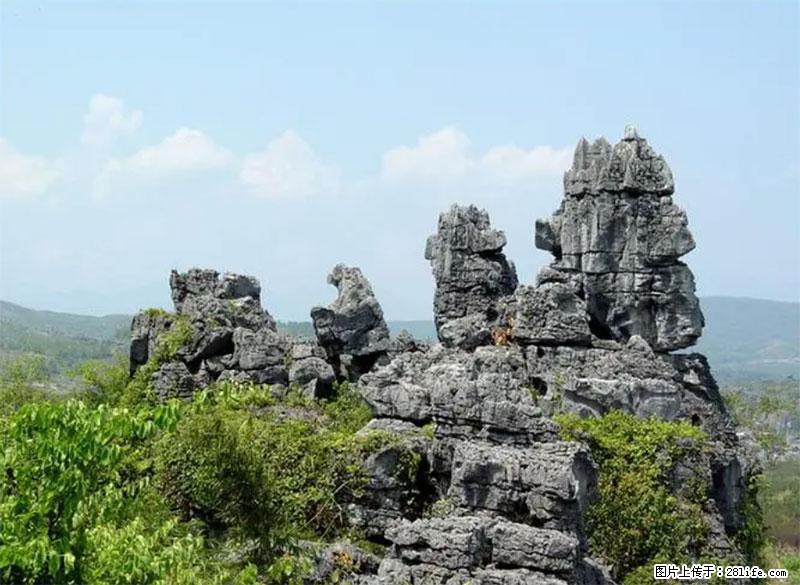 桂林旅游名城景点：灌阳文市石林 - 游山玩水 - 阜阳生活社区 - 阜阳28生活网 fy.28life.net