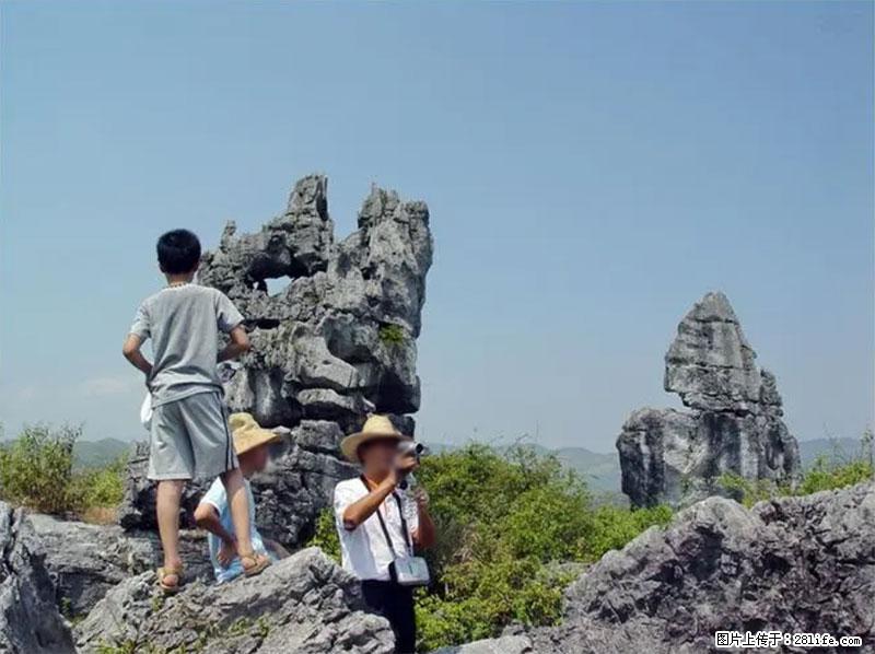 桂林旅游名城景点：灌阳文市石林 - 游山玩水 - 阜阳生活社区 - 阜阳28生活网 fy.28life.net