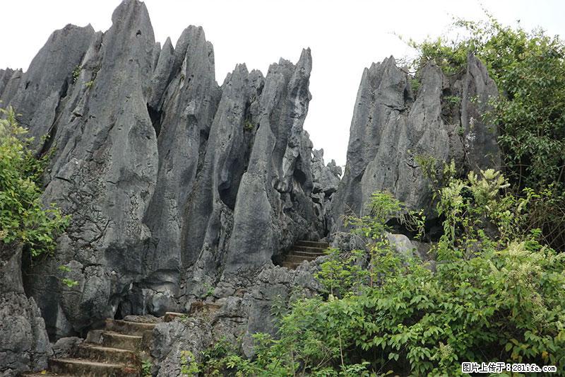 桂林旅游名城景点：灌阳文市石林 - 游山玩水 - 阜阳生活社区 - 阜阳28生活网 fy.28life.net