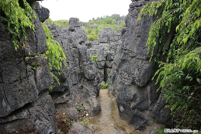 桂林旅游名城景点：灌阳文市石林 - 游山玩水 - 阜阳生活社区 - 阜阳28生活网 fy.28life.net