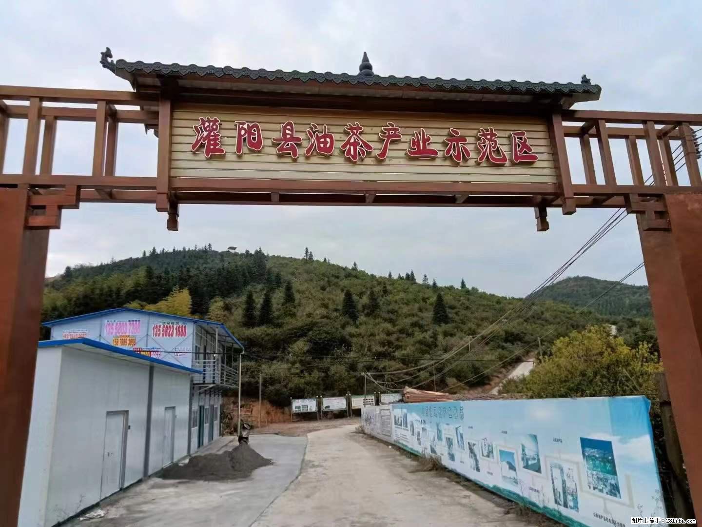 【灌阳县油茶产业示范区】一个有着充实的精神生活的人，对待身外之物自会有一种淡泊的态度 - 土特产 - 饮食特产 - 阜阳分类信息 - 阜阳28生活网 fy.28life.net