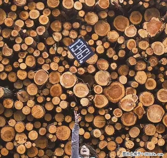 辞掉工作周游世界?现在他们在洗厕所…… - 游山玩水 - 阜阳生活社区 - 阜阳28生活网 fy.28life.net