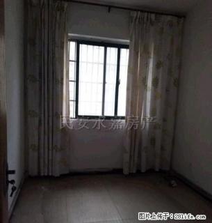 万达对面 南北通透 温馨舒适 采光非常好 - 阜阳28生活网 fy.28life.net