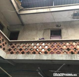 金鹰巷南头路口四合院往外出租适合开饭店 - 阜阳28生活网 fy.28life.net