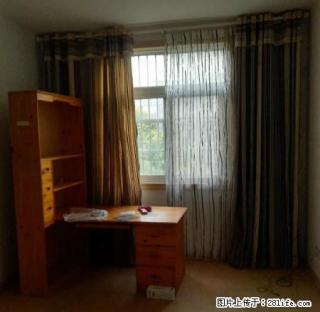 鼓楼对面 一人巷商业街大房间 3室2厅2卫 - 阜阳28生活网 fy.28life.net