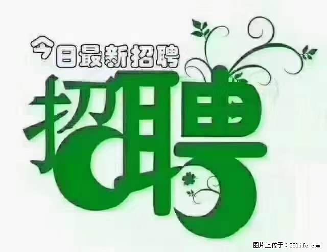 【招聘摄像师】待遇：试用期6000元/月，转正7000元/月+五险一金+餐补+节日福利+奖金 - 其他招聘信息 - 招聘求职 - 阜阳分类信息 - 阜阳28生活网 fy.28life.net