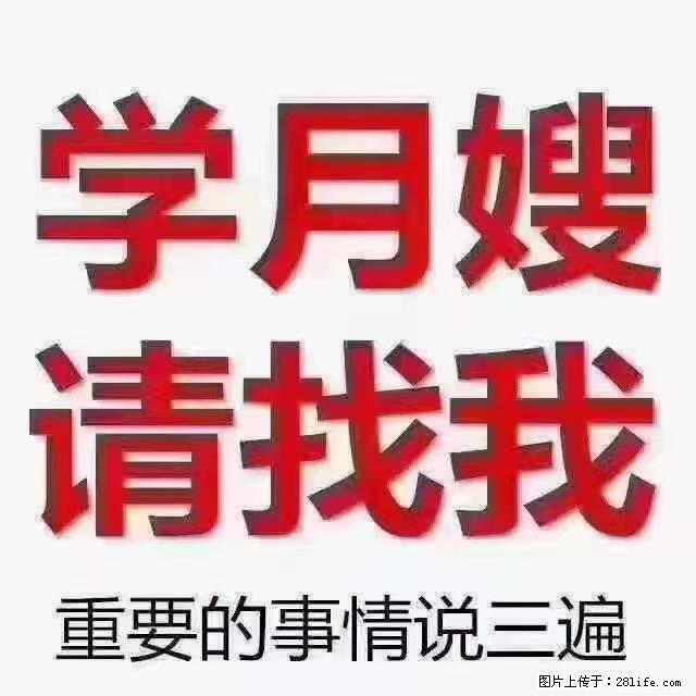 【招聘】月嫂，上海徐汇区 - 职场交流 - 阜阳生活社区 - 阜阳28生活网 fy.28life.net
