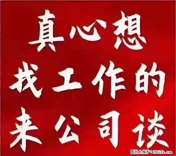 【上海】国企，医院招两名男保安，55岁以下，身高1.7米以上，无犯罪记录不良嗜好 - 职场交流 - 阜阳生活社区 - 阜阳28生活网 fy.28life.net