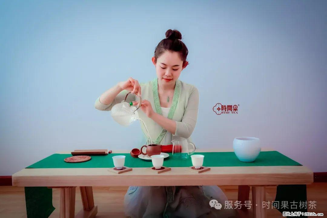 时间果百年古树龙珠普洱生茶 - 购物交流 - 阜阳生活社区 - 阜阳28生活网 fy.28life.net