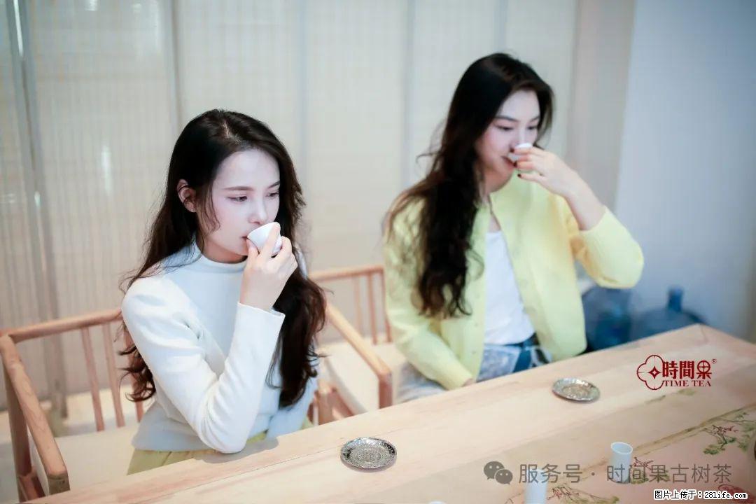 时间果百年古树龙珠普洱生茶 - 购物交流 - 阜阳生活社区 - 阜阳28生活网 fy.28life.net