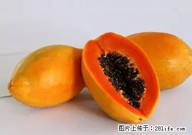晕车、脚气、牙齿变黄、皮肤粗糙？学会这些三分钟搞定！ - 阜阳生活资讯 - 阜阳28生活网 fy.28life.net