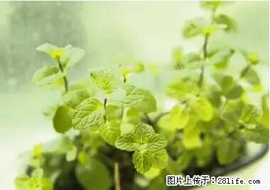 晕车、脚气、牙齿变黄、皮肤粗糙？学会这些三分钟搞定！ - 阜阳生活资讯 - 阜阳28生活网 fy.28life.net