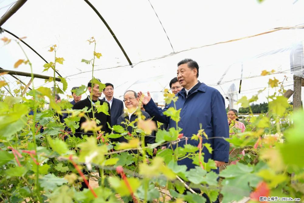 习近平赴广西考察调研 - 阜阳生活资讯 - 阜阳28生活网 fy.28life.net