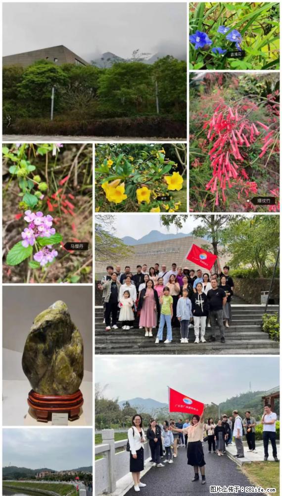 “粤灌文化 美好生活”油茶文化主题活动在广东深圳成功举办 - 阜阳生活资讯 - 阜阳28生活网 fy.28life.net
