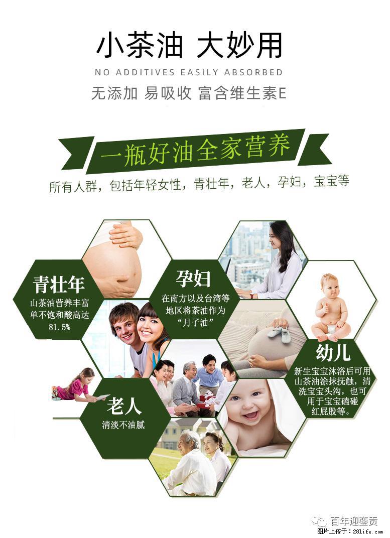 世界没有真相，只有认知，最好的食用油是中国的山茶油！ - 阜阳生活资讯 - 阜阳28生活网 fy.28life.net