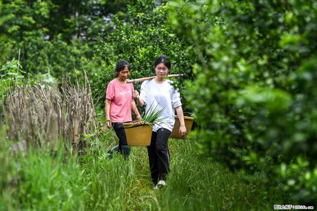 全网追的“扁担女孩”，找了一份暑假工，时薪12元 - 阜阳生活资讯 - 阜阳28生活网 fy.28life.net