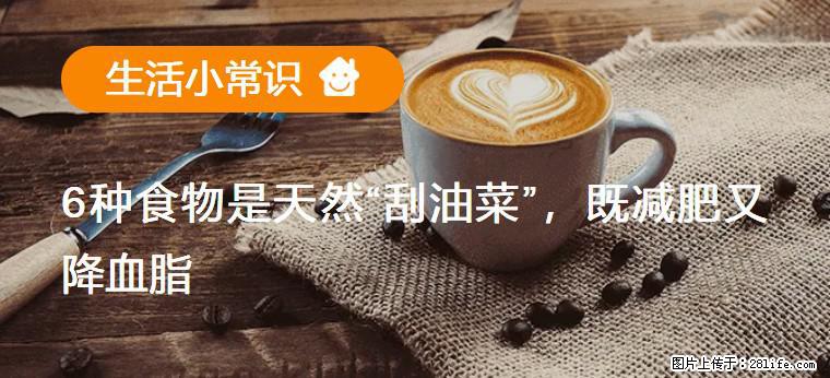 【生活小常识】6种食物是天然“刮油菜”，既减肥又降血脂 - 阜阳生活资讯 - 阜阳28生活网 fy.28life.net