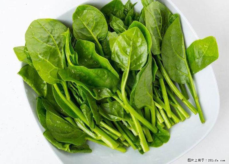 这些蔬菜是“天然钙片”，这6种被医生重点推荐 - 阜阳生活资讯 - 阜阳28生活网 fy.28life.net